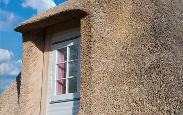 Potbridge thatch roof disadvantages
